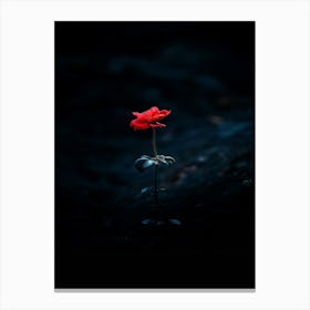 Single Red Rose 22 Canvas Print