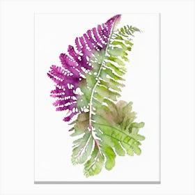 Grape Fern Wildflower Watercolour 2 Canvas Print