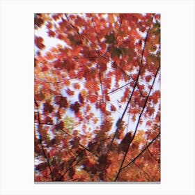 Get In Woods Canvas Print