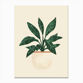 Jade Plant Minimalist Illustration 1 Canvas Print