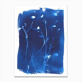 Buttercups In Blue Canvas Print