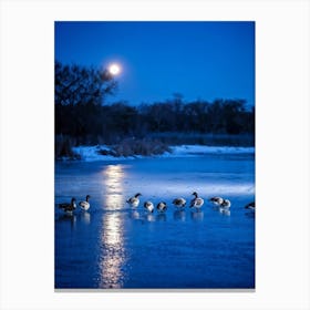 A Twilight Scene Where A Group Of Geese Are Observed Methodically Wading In A Frozen Duck Pond In Th (1) Canvas Print