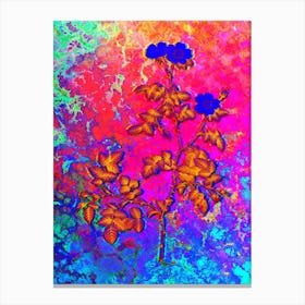 White Sweetbriar Rose Botanical in Acid Neon Pink Green and Blue n.0189 Canvas Print