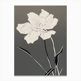 Daffodils Line Art Flowers Illustration Neutral 17 Canvas Print