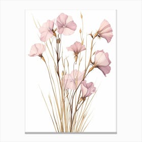 Floral Illustration Flax Flower 2 Canvas Print