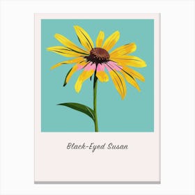 Black Eyed Susan 1 Square Flower Illustration Poster Canvas Print