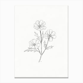 Cosmos Flower Pencil Sketch Canvas Print