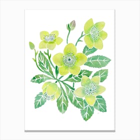 Green Winter Rose Canvas Print