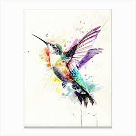 Hummingbird Canvas Print Canvas Print