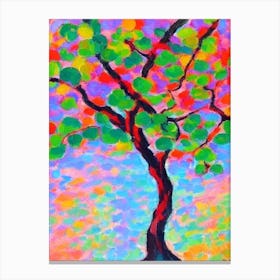 Chinese Elm tree Abstract Block Colour Canvas Print