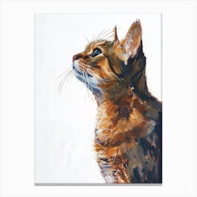 Manx Cat Painting 1 Canvas Print