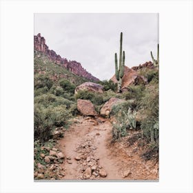 Superstition Desert Trail Canvas Print