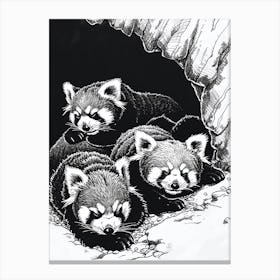 Red Panda Family Sleeping In A Cave Ink Illustration 3 Canvas Print