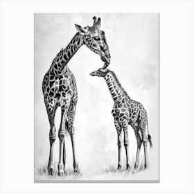Pencil Portrait Of Giraffe & Calf Canvas Print