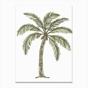 Palm Tree 32 Canvas Print