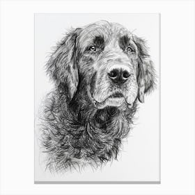 Newfoundland Dog Line Sketch 1 Canvas Print