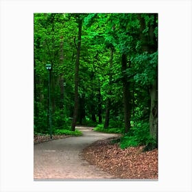 Path Canvas Print