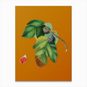 Vintage Fig Botanical on Sunset Orange n.0587 Canvas Print