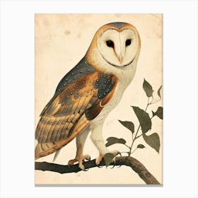 Barn Owl Vintage Illustration 2 Canvas Print