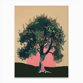 Olive Tree Colourful Illustration 2 Canvas Print