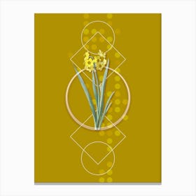Vintage Daffodil Botanical with Geometric Line Motif and Dot Pattern n.0222 Canvas Print