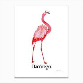 Flamingo. Long, thin legs. Pink or bright red color. Black feathers on the tips of its wings.5 Canvas Print