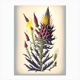 Blazing Star Wildflower Vintage Botanical 1 Canvas Print