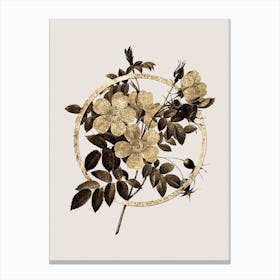 Gold Ring White Candolle Rose Glitter Botanical Illustration n.0257 Canvas Print