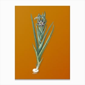 Vintage Ferraria Botanical on Sunset Orange n.0109 Canvas Print