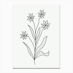 Line Drawing Of Flowers 1 Canvas Print