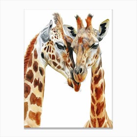 Two Affectionate Giraffes Watercolour 4 Canvas Print