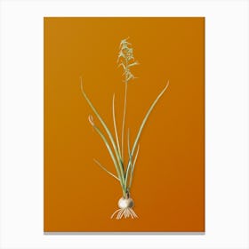 Vintage Hyacinthus Viridis Botanical on Sunset Orange n.0462 Canvas Print