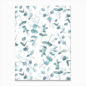 Eucalyptus Leaves And Branches Canvas Print