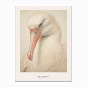 Vintage Bird Drawing Albatross 1 Poster Canvas Print