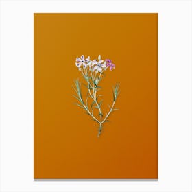 Vintage Shewy Phlox Flower Branch Botanical on Sunset Orange n.0425 Canvas Print