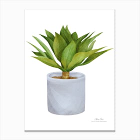 Plant In A Pot.A fine artistic print that decorates the place. Canvas Print