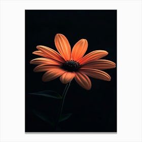 Orange Flower 2 Canvas Print