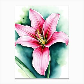 Pink Lily 6 Canvas Print