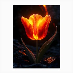 Tulip Flower Lienzo