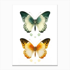 Butterfly On White Background Canvas Print