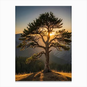 Lone Tree At Sunset 1 Canvas Print