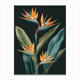 Bird Of Paradise 20 Canvas Print