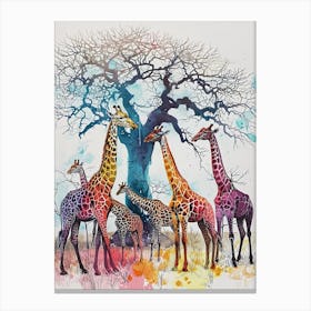 Giraffe Herd Under The Tree Watercolour 1 Canvas Print