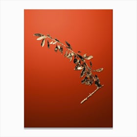 Gold Botanical Olives on Tomato Red n.3324 Canvas Print