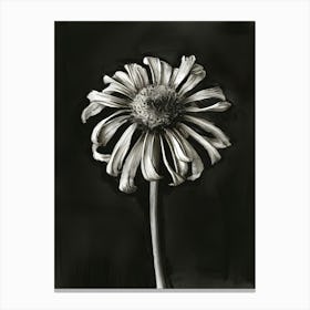 Daisy 3 Canvas Print