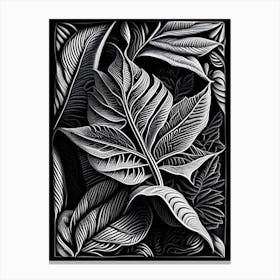 Coffee Leaf Linocut Canvas Print