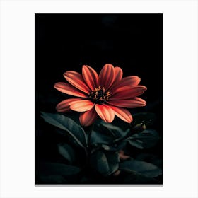 Dark Flower 6 Canvas Print