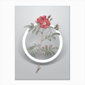 Vintage Rosa Redutea Glauca Minimalist Floral Geometric Circle on Soft Gray n.0550 Canvas Print