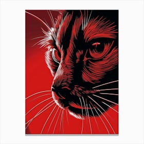 Cat'S Eye 1 Canvas Print