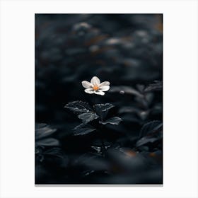 Dark Flower 34 Canvas Print